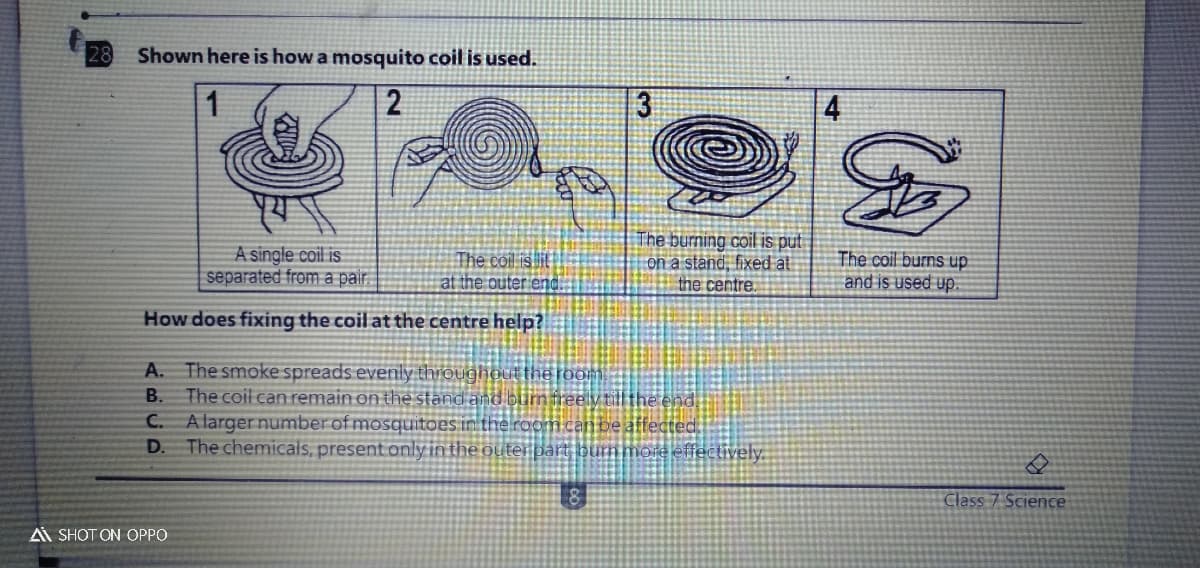 28
Shown here is how a mosquito coil is used.
1
4
A single coil is
separated from a pair.
The coil is lit
at the outer endi.
The burning coil is put
on a stand, fixed at
the centre.
The coil burns up
and is used up
How does fixing the coil at the centre help?
A. The smoke spreads evenly throughout the room
B. The coil can remain on the stand and bumfree ytill the end.
C. Alarger number of mosquitoes in the room can be affected
The chemicals, present only in the outer part bummoje effectively.
D.
Class 7 Science
Ai SHOT ON OPPO
