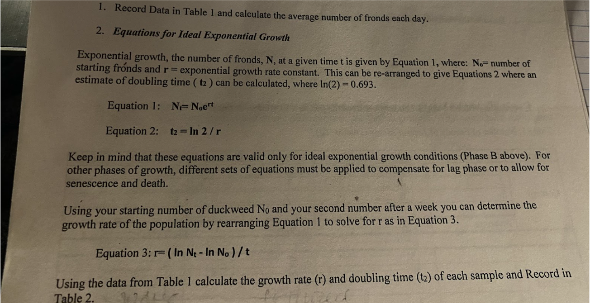 1. Record Data in Table 1 and calculate the average number of fronds each day.
2. Equations for Ideal Exponential Growth
Exponential growth, the number of fronds, N, at a given time t is given by Equation 1, where: No- number of
starting fronds and r = exponential growth rate constant. This can be re-arranged to give Equations 2 where an
estimate of doubling time (t2) can be calculated, where In(2) = 0.693.
Equation 1: N- Noert
Equation 2: t2 = In 2/r
Keep in mind that these equations are valid only for ideal exponential growth conditions (Phase B above). For
other phases of growth, different sets of equations must be applied to compensate for lag phase or to allow for
senescence and death.
Using your starting number of duckweed No and your second number after a week you can determine the
growth rate of the population by rearranging Equation 1 to solve for r as in Equation 3.
Equation 3: r-(In Ne-In No) / t
Using the data from Table 1 calculate the growth rate (r) and doubling time (t2) of each sample and Record in
Table 2.