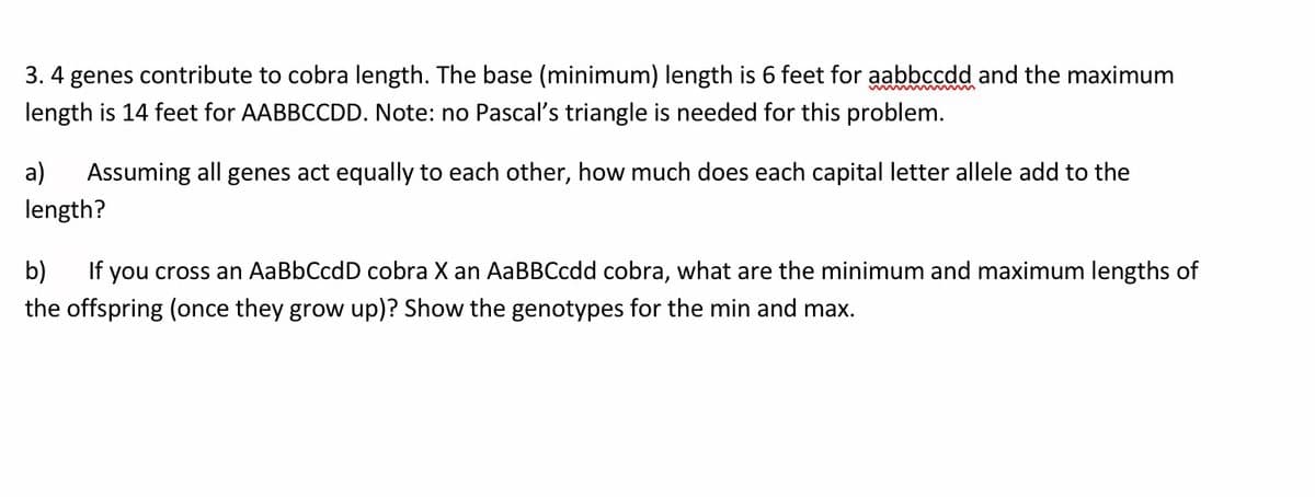 3. 4 genes contribute to cobra length. The base (minimum) length is 6 feet for aabbccdd and the maximum
length is 14 feet for AABBCCDD. Note: no Pascal's triangle is needed for this problem.
a)
Assuming all genes act equally to each other, how much does each capital letter allele add to the
length?
b)
If you cross an AaBbCcdD cobra X an AaBBCcdd cobra, what are the minimum and maximum lengths of
the offspring (once they grow up)? Show the genotypes for the min and max.
