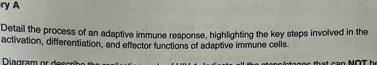 ry A
Detail the process of an adaptive immune response, highlighting the key steps involved in the
activation, differentiation, and effector functions of adaptive immune cells.
Diagram or describe the
stone/stages that can NOT be