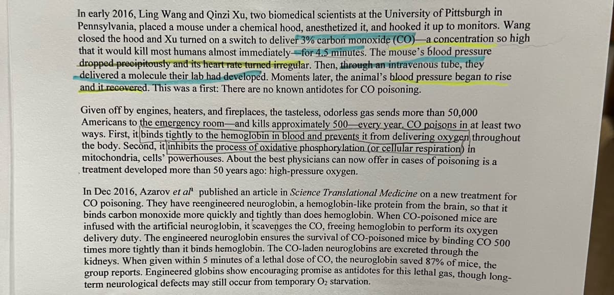 In early 2016, Ling Wang and Qinzi Xu, two biomedical scientists at the University of Pittsburgh in
Pennsylvania, placed a mouse under a chemical hood, anesthetized it, and hooked it up to monitors. Wang
closed the hood and Xu turned on a switch to deliver 3% carbon monoxide (CO)-a concentration so high
that it would kill most humans almost immediately for 4.5 minutes. The mouse's blood pressure
dropped precipitously and its heart rate turned irregular. Then, through an intravenous tube, they
-delivered a molecule their lab had developed. Moments later, the animal's blood pressure began to rise
and it recovered. This was a first: There are no known antidotes for CO poisoning.
Given off by engines, heaters, and fireplaces, the tasteless, odorless gas sends more than 50,000
Americans to the emergency room and kills approximately 500 every year. CO poisons in at least two
ways. First, it binds tightly to the hemoglobin in blood and prevents it from delivering oxygen throughout
the body. Second, it inhibits the process of oxidative phosphorylation (or cellular respiration) in
mitochondria, cells' powerhouses. About the best physicians can now offer in cases of poisoning is a
treatment developed more than 50 years ago: high-pressure oxygen.
In Dec 2016, Azarov et al published an article in Science Translational Medicine on a new treatment for
CO poisoning. They have reengineered neuroglobin, a hemoglobin-like protein from the brain, so that it
binds carbon monoxide more quickly and tightly than does hemoglobin. When CO-poisoned mice are
infused with the artificial neuroglobin, it scavenges the CO, freeing hemoglobin to perform its oxygen
delivery duty. The engineered neuroglobin ensures the survival of CO-poisoned mice by binding CO 500
times more tightly than it binds hemoglobin. The CO-laden neuroglobins are excreted through the
kidneys. When given within 5 minutes of a lethal dose of CO, the neuroglobin saved 87% of mice, the
group reports. Engineered globins show encouraging promise as antidotes for this lethal gas, though long-
term neurological defects may still occur from temporary O₂ starvation.