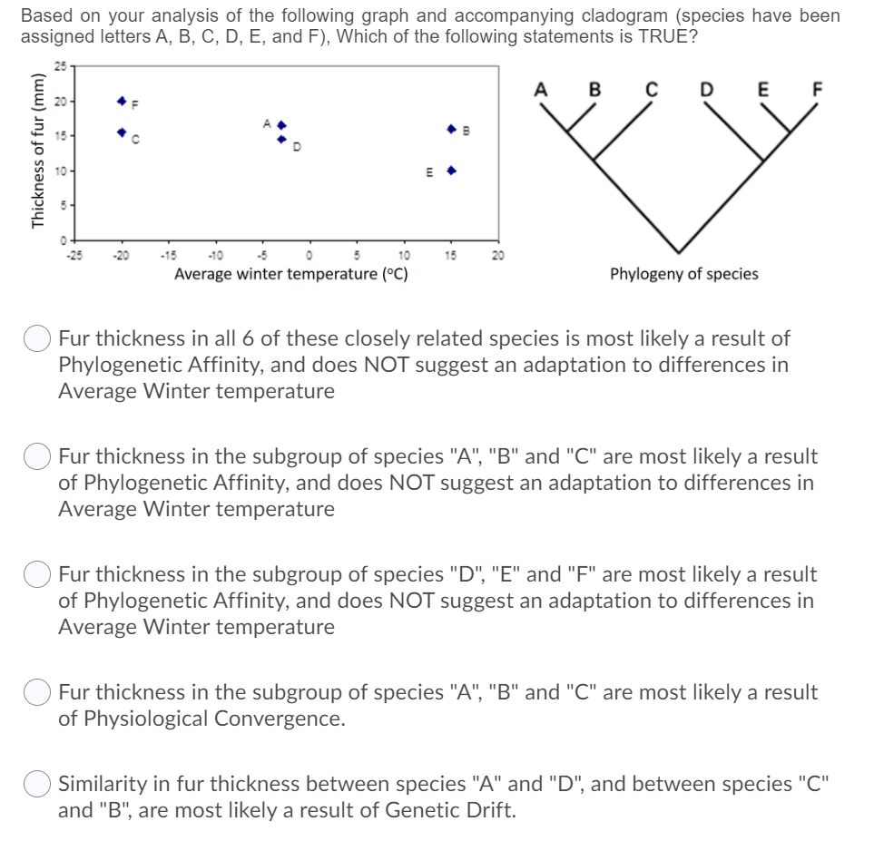 Based on your analysis of the following graph and accompanying cladogram (species have been
assigned letters A, B, C, D, E, and F), Which of the following statements is TRUE?
A
В с D
F
-20
-15
-10
10
15
Average winter temperature (°C)
Phylogeny of species
Fur thickness in all 6 of these closely related species is most likely a result of
Phylogenetic Affinity, and does NOT suggest an adaptation to differences in
Average Winter temperature
Fur thickness in the subgroup of species "A", "B" and "C" are most likely a result
of Phylogenetic Affinity, and does NOT suggest an adaptation to differences in
Average Winter temperature
Fur thickness in the subgroup of species "D", "E" and "F" are most likely a result
of Phylogenetic Affinity, and does NOT suggest an adaptation to differences in
Average Winter temperature
Fur thickness in the subgroup of species "A", "B" and "C" are most likely a result
of Physiological Convergence.
Similarity in fur thickness between species "A" and "D", and between species "C"
and "B", are most likely a result of Genetic Drift.
Thickness of fur (mm)
