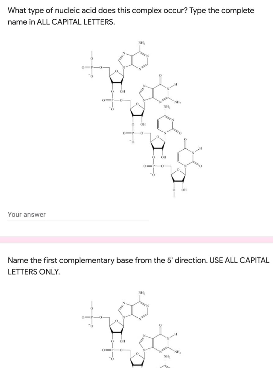 What type of nucleic acid does this complex occur? Type the complete
name in ALL CAPITAL LETTERS.
NH2
NH:
NH,
OH
OH
0=P-0
OH
Your answer
Name the first complementary base from the 5' direction. USE ALL CAPITAL
LETTERS ONLY.
NH2
OH
NH
NH,
