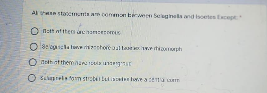 All these statements are common between Selaginella and Isoetes Except:
Both of them are homosporous
O Selaginella have rhizophore but Isoetes have rhizomorph
Both of them have roots undergroud
Selaginella form strobili but Isoetes have a central corm
