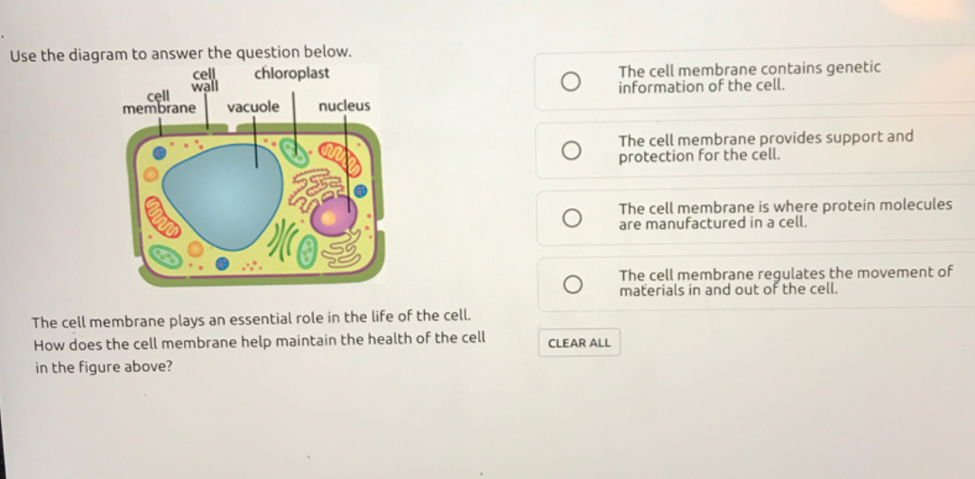 Use the diagram to answer the question below.
chloroplast
cell
wall
vacuole
The cell membrane contains genetic
information of the cell.
cell
membrane
nucleus
The cell membrane provides support and
protection for the cell.
The cell membrane is where protein molecules
are manufactured in a cell.
The cell membrane regulates the movement of
materials in and out of the cell.
The cell membrane plays an essential role in the life of the cell.
How does the cell membrane help maintain the health of the cell
in the figure above?
CLEAR ALL
