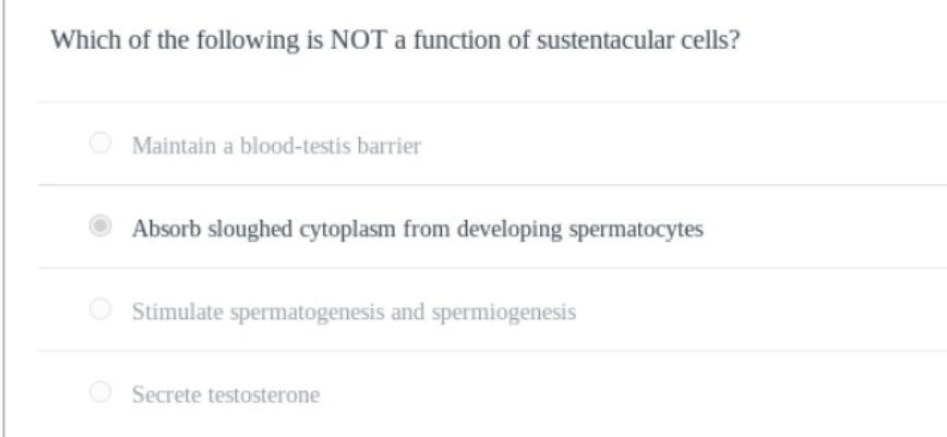 Which of the following is NOT a function of sustentacular cells?
O Maintain a blood-testis barrier
Absorb sloughed cytoplasm from developing spermatocytes
O Stimulate spermatogenesis and spermiogenesis
O Secrete testosterone
