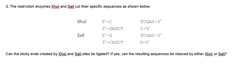2. The restriction enzymes Xhol and Sall cut their specific sequences as shown below:
Xhol
5'-c
TCGAG-3'
3'-GAGCT
C-5'
Sall
5'-G
TCGAC-3'
3'-СAGCT
G-5'
Can the sticky ends created by Xhol and Sall sites be ligated? If yes, can the resulting sequences be cleaved by either Xhol or Sall?
