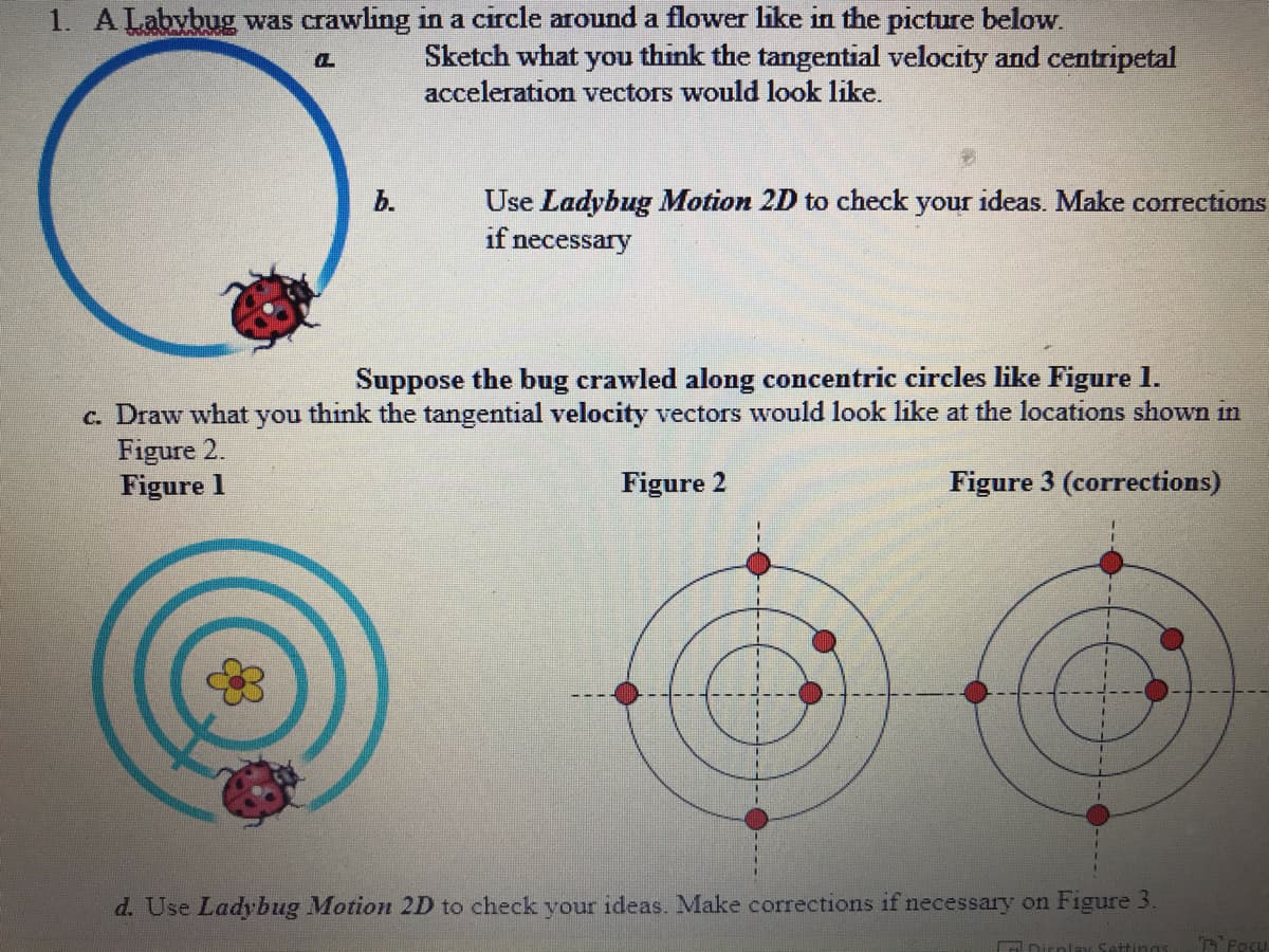 1. ALabybug was crawling in a circle around a flower like in the picture below.
Sketch what you think the tangential velocity and centripetal
acceleration vectors would look like.
b.
Use Ladybug Motion 2D to check your ideas. Make corrections
if necessary
Suppose the bug crawled along concentric circles like Figure 1.
think the tangential velocity vectors would look like at the locations shown in
c. Draw what
Figure 2.
Figure 1
you
Figure 2
Figure 3 (corrections)
d. Use Ladybug Motion 2D to check your ideas. Make corrections if necessary on Figure 3.
ODirnlau Settings
