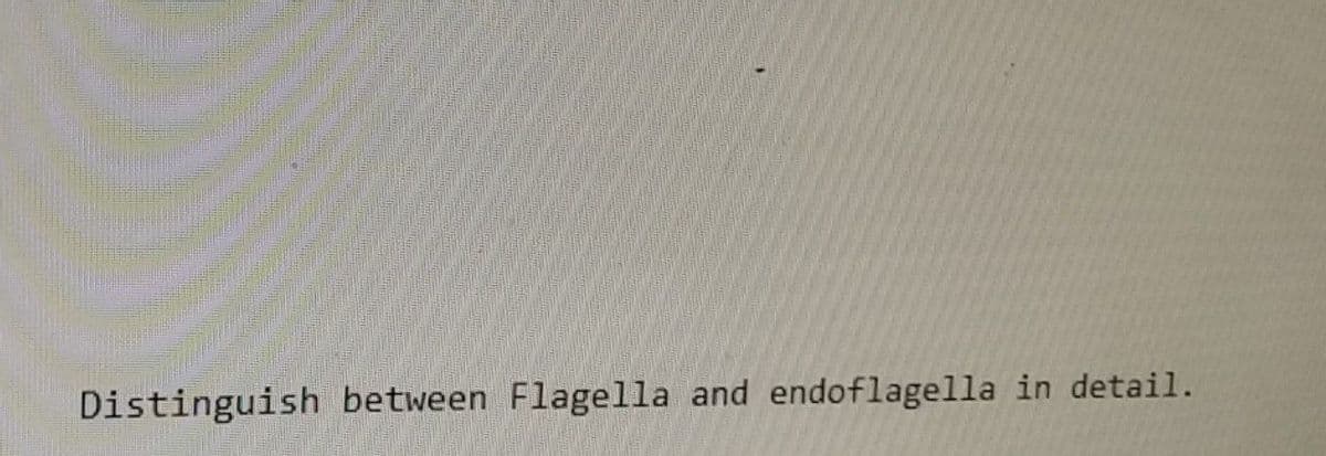 Distinguish between Flagella and endoflagella in detail.