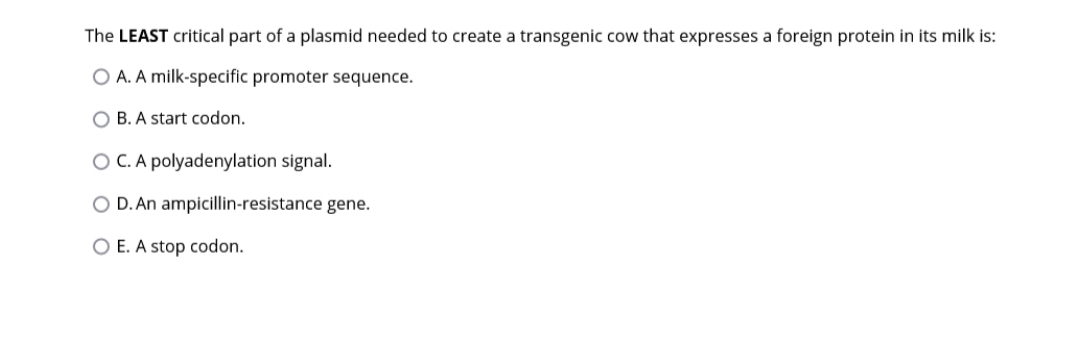 The LEAST critical part of a plasmid needed to create a transgenic cow that expresses a foreign protein in its milk is:
O A. A milk-specific promoter sequence.
O B. A start codon.
O C. A polyadenylation signal.
O D. An ampicillin-resistance gene.
O E. A stop codon.
