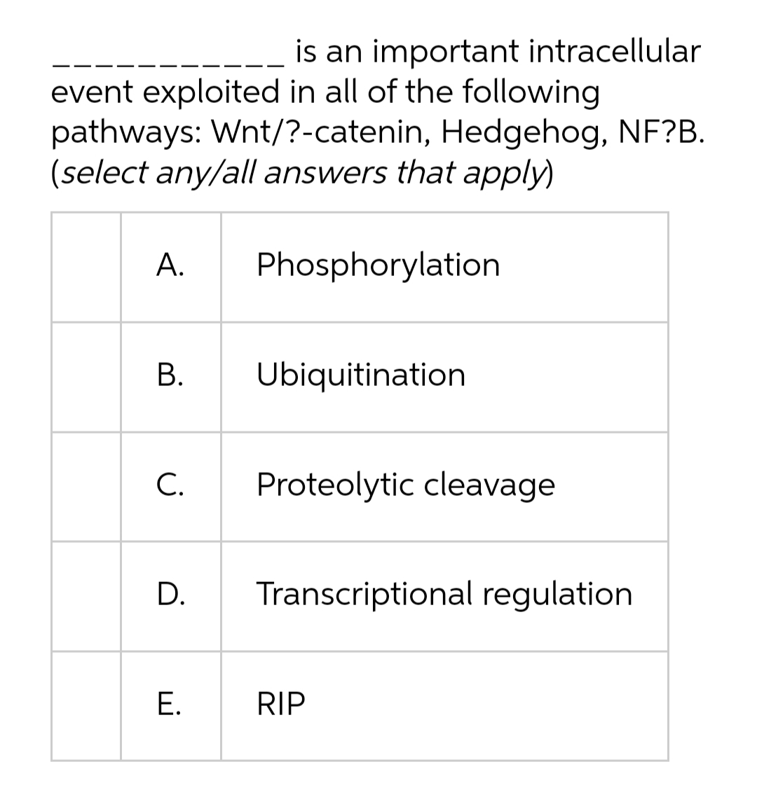 is an important intracellular
event exploited in all of the following
pathways: Wnt/?-catenin, Hedgehog, NF?B.
(select any/all answers that apply)
А.
Phosphorylation
В.
Ubiquitination
С.
Proteolytic cleavage
D.
Transcriptional regulation
Е.
RIP
