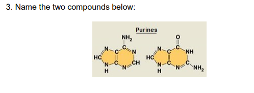 3. Name the two compounds below:
Purines
NH,
N-CN
HC
N-C
NH
HC
CH
N-C.
NH2
