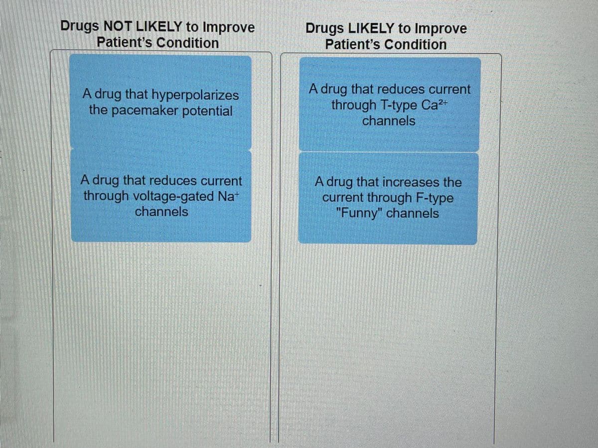 Drugs NOT LIKELY to Improve
Patient's Condition
Drugs LIKELY to Improve
Patient's Condition
A drug that hyperpolarizes
the pacemaker potential
A drug that reduces current
through T-type Ca?+
channels
A drug that reduces current
through voltage-gated Nat
channels
A drug that increases the
current through F-type
"Funny" channels
