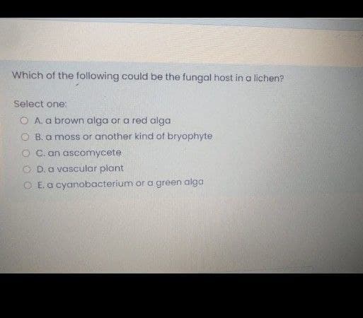 Which of the following could be the fungal host in a lichen?
Select one:
O A. a brown alga or a red alga
O B. a moss or another kind of bryophyte
O C. an ascomycete
O D.a vascular piant
O E. a cyanobacterium or a green alga
