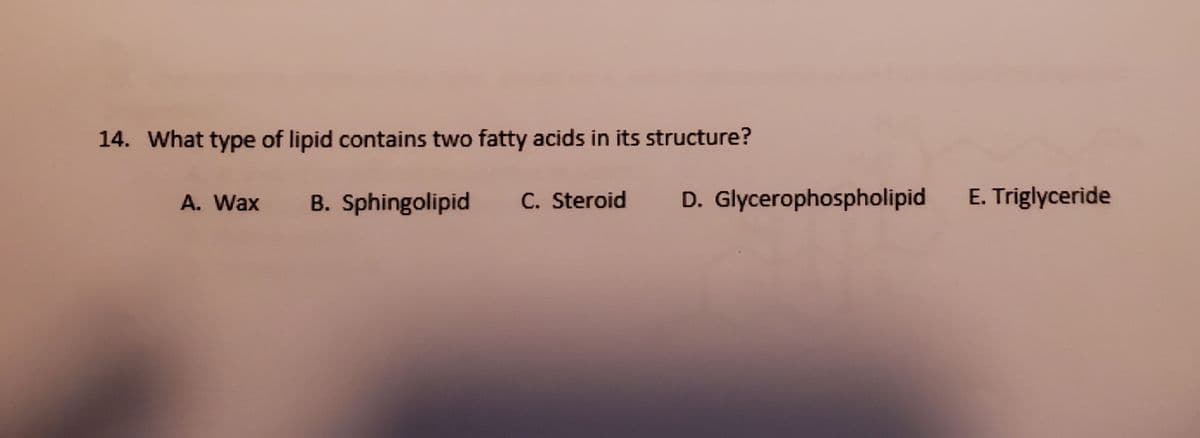 14. What type of lipid contains two fatty acids in its structure?
A. Wax
B. Sphingolipid
C. Steroid
D. Glycerophospholipid
E. Triglyceride

