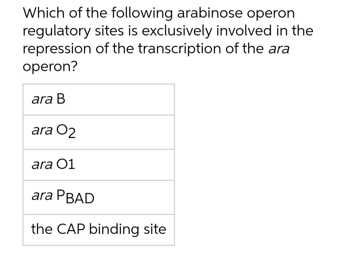 Which of the following arabinose operon
regulatory sites is exclusively involved in the
repression of the transcription of the ara
operon?
ara B
ara O2
ara 01
ara PBAD
the CAP binding site
