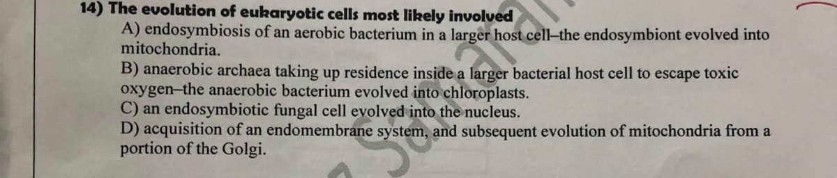 14) The evolution of eukaryotic cells most likely involved
A) endosymbiosis of an aerobic bacterium in a larger host cell-the endosymbiont evolved into
mitochondria.
B) anaerobic archaea taking up residence inside a larger bacterial host cell to escape toxic
oxygen-the anaerobic bacterium evolved into chloroplasts.
C) an endosymbiotic fungal cell evolved into the nucleus.
D) acquisition of an endomembrane system, and subsequent evolution of mitochondria from a
portion of the Golgi.
