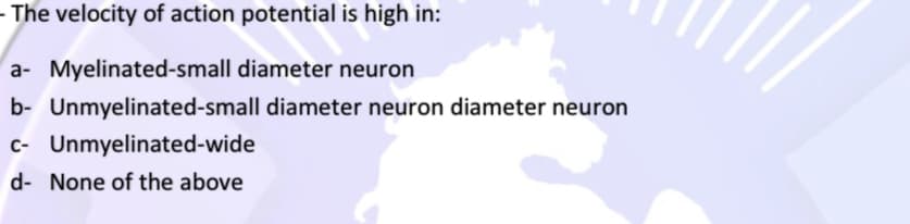 - The velocity of action potential is high in:
a- Myelinated-small diameter neuron
b- Unmyelinated-small diameter neuron diameter neuron
c- Unmyelinated-wide
d- None of the above
