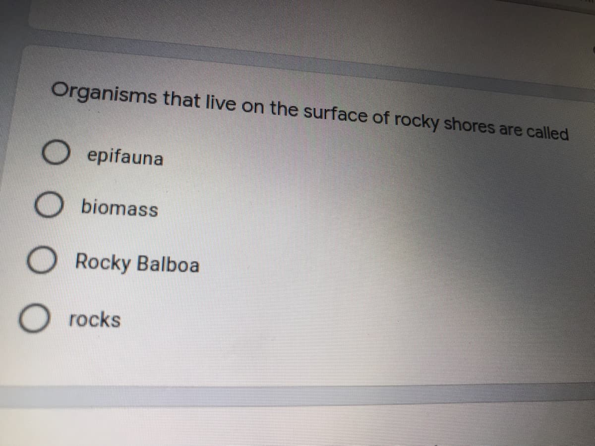 Organisms that live on the surface of rocky shores are called
epifauna
biomass
Rocky Balboa
rocks
