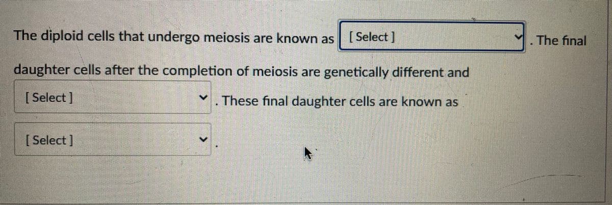 The diploid cells that undergo meiosis are known as
[ Select ]
. The final
daughter cells after the completion of meiosis are genetically different and
[Select]
These final daughter cells are known as
[Select]
