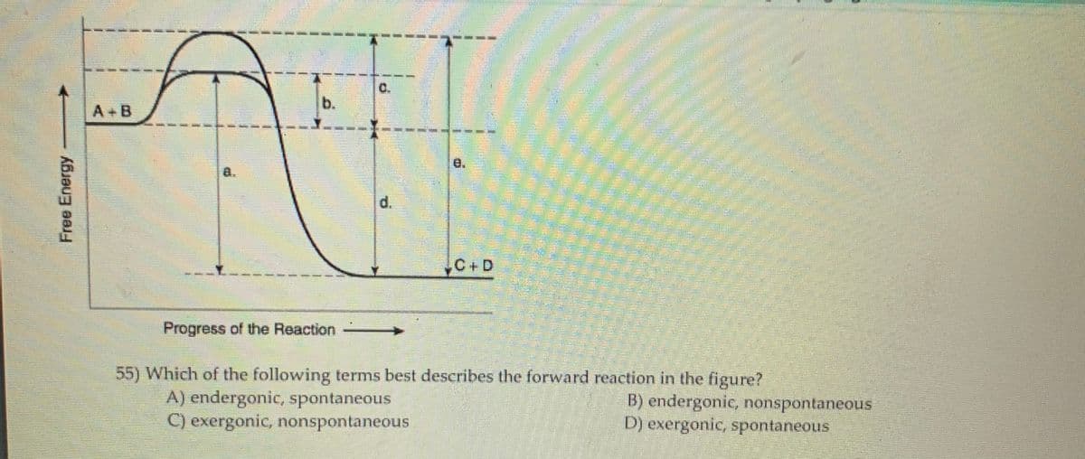 C.
b.
A B
e.
d.
,C+D
Progress of the Reaction
55) Which of the following terms best describes the forward reaction in the figure?
A) endergonic, spontaneous
C) exergonic, nonspontaneous
B) endergonic, nonspontaneous
D) exergonic, spontaneous
Free Energy
