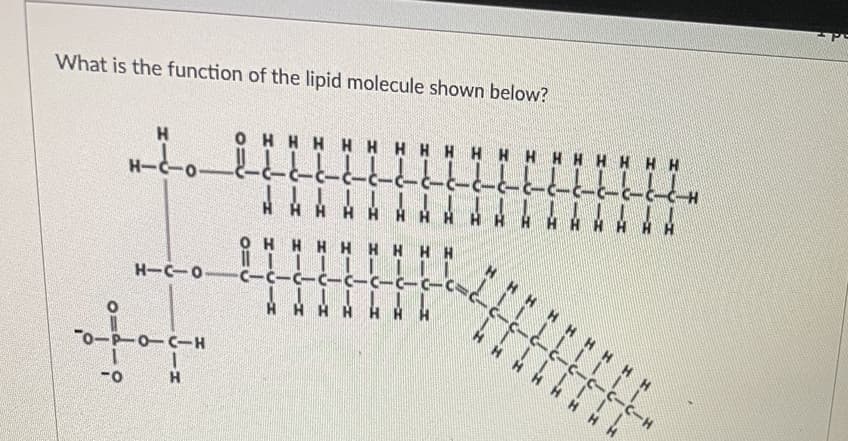 OH H H H H HHH HHHHH H H H H
ヒ-ヒ-C-2--とーとーC-c- --ヒー
What is the function of the lipid molecule shown below?
H-C-0-
H-C-0 C-C-C-C-C-C-CICIC
À H H H HA H
OH H H HH HHH
C-Cー
HH H
C-H
H H
0-C-H
H.
