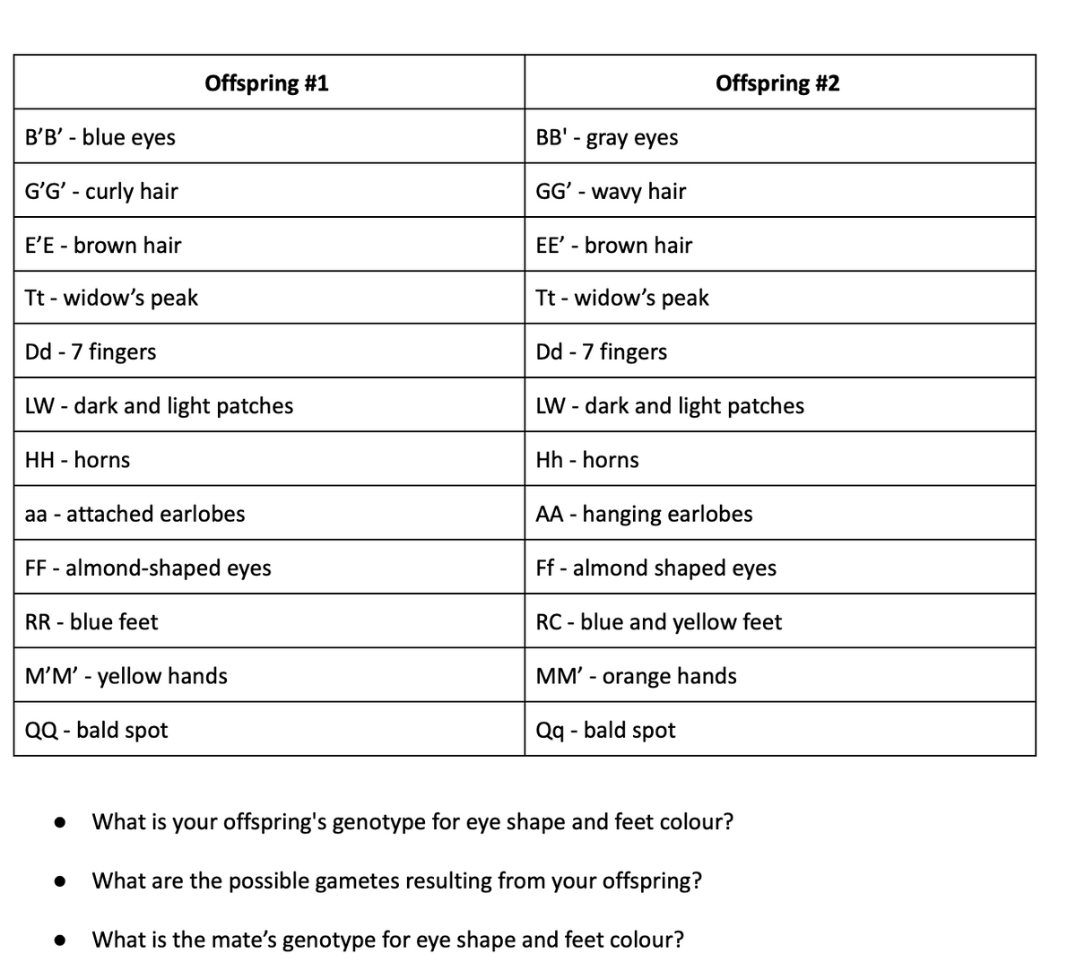 B'B' - blue eyes
G'G' - curly hair
E'E - brown hair
Tt - widow's peak
Dd - 7 fingers
LW - dark and light patches
HH - horns
Offspring #1
aa-attached earlobes
FF - almond-shaped eyes
RR blue feet
M'M' - yellow hands
QQ - bald spot
●
●
BB' - gray eyes
GG' - wavy hair
EE' - brown hair
Offspring #2
Tt - widow's peak
Dd - 7 fingers
LW - dark and light patches
Hh - horns
AA - hanging earlobes
Ff-almond shaped eyes
RC - blue and yellow feet
MM' - orange hands
Qq - bald spot
What is your offspring's genotype for eye shape and feet colour?
What are the possible gametes resulting from your offspring?
What is the mate's genotype for eye shape and feet colour?