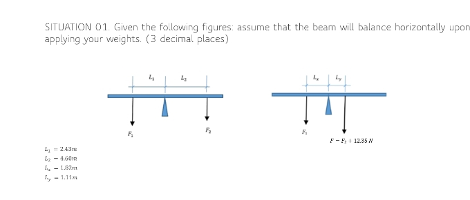 SITUATION 01. Given the following figures: assume that the beam will balance horizontally upon
applying your weights. (3 decimal places)
Ly
F,
F- F + 12.35 N
L. = 2.43m
L3 - 4.60m
I. - LB2n
y - 1.11m
