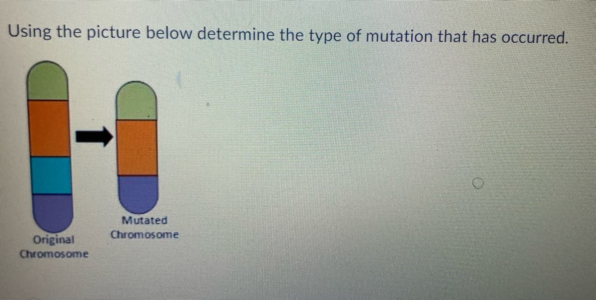 Using the picture below determine the type of mutation that has occurred.
Mutated
Chromosome
Original
Chromosome
