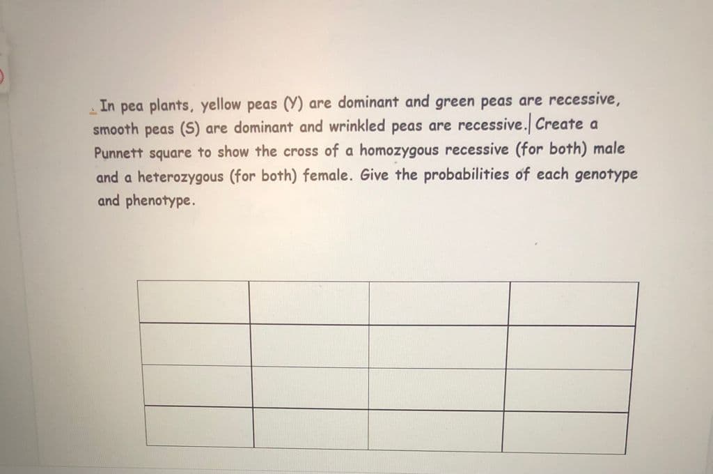 In pea plants, yellow peas (Y) are dominant and green peas are recessive,
smooth peas (S) are dominant and wrinkled peas are recessive. Create a
Punnett square to show the cross of a homozygous recessive (for both) male
and a heterozygous (for both) female. Give the probabilities of each genotype
and phenotype.
