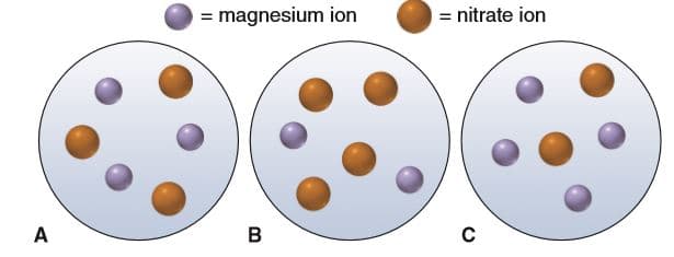 = magnesium ion
= nitrate ion
A
