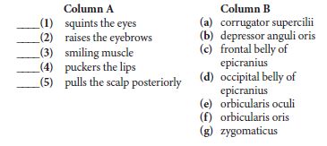 Column A
Column B
(1) squints the eyes
(2) raises the eyebrows
_(3) smiling muscle
_(4) puckers the lips
(a) corrugator supercilii
(b) depressor anguli oris
(c) frontal belly of
epicranius
(5) pulls the scalp posteriorly (d) occipital belly of
epicranius
(e) orbicularis oculi
(f) orbicularis oris
(g) zygomaticus
