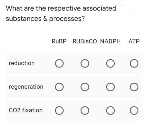 What are the respective associated
substances & processes?
RuBP RUBISCO NADPH ATP
reduction
O O O O
regeneration O O O O
CO2 fixation O O O
O