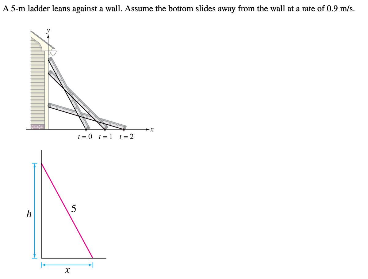 A 5-m ladder leans against a wall. Assume the bottom slides away from the wall at a rate of 0.9 m/s.
t = 0 t= 1 t = 2
5
X
