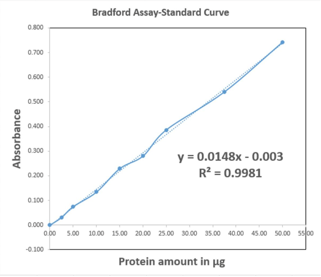 Bradford Assay-Standard Curve
0.800
0.700
0.600
0.500
0.400
0.300
y = 0.0148x - 0.003
R? = 0.9981
0.200
0.100
0.000
0.00
5.00
10.00
15.00
20.00
25.00
30.00
35.00
40.00
45.00
50.00
55 00
-0.100
Protein amount in µg
Absorbance
