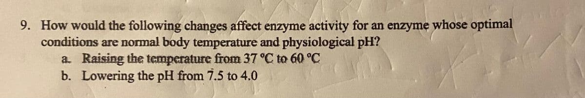 9. How would the following changes affect enzyme activity for an enzyme whose optimal
conditions are normal body temperature and physiological pH?
a Raising the temperature from 37 °C to 60 °C
b. Lowering the pH from 7.5 to 4.0
