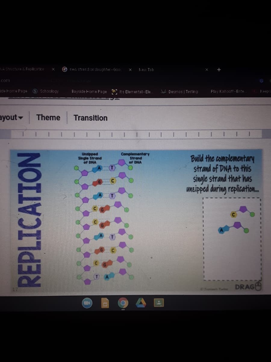 NA StIucture & Replicetion
G new strand or daughter - Go
New Tab
Com
ide Fome Page 9 Schoology
Bayside Home Page
It s Elemental - Ele.
Jaci DEsmos | Testing
Play Kahoot! - Ente.
Keep
ayout
Theme
Transition
1.
1.
Unzipped
Single Strand
of DNA
Complementary
Strand
of DNA
Build the complementary
strand of DNA to this
single strand that has
uneipped during replication.
DRAG
8 F s Toel
REPLICATION
