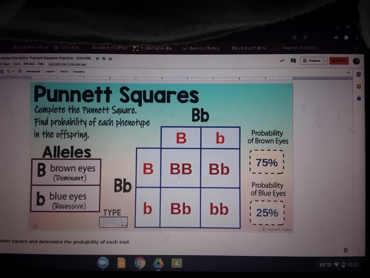 Esrside Fome Page
S Schoology
Eeyside Fome Pade
Its Elementel - Ele.
Jak Desmos | Testing
Play Kahoot! - Ente
RMKeepvid: download.
ndellan Genetics Punnett Squares Practice- 3061396
O Present
Share
Arange Tools Add-ons Help
Last edit was 2 minutes ago
Backoround
Layout
Theme
.. IIIB INII . .9 ..I IT
Punnett Squares
Complete the Punnett Square.
Find probability of each phenotype
in the offspring.
Bb
b
Probability
of Brown Eyes
Alleles
: 75% !
R brown eyes
(Dominant)
В | ВВ
Bb
Bb
Probability
of Blue Eyes
b blue eyes
(Recessive)
ΤΥPE
Bb
bb
25%
10
Teamwork Teolees
anett square and determine the probability of each trait.
EXTD O 10:21
