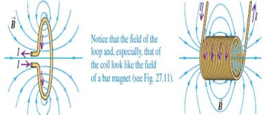 Notice that the field of the
loo and, especialy, hat of
the coil look like the field
of a bar magnet (see Fig. 27.1).
