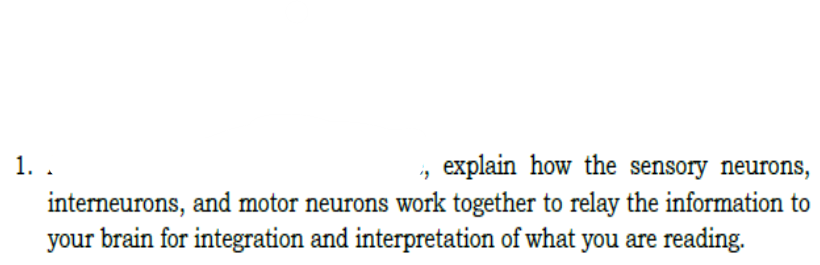explain how the sensory neurons,
interneurons, and motor neurons work together to relay the information to
your brain for integration and interpretation of what you are reading.
1. .
