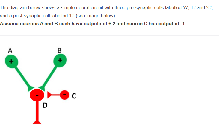 The diagram below shows a simple neural circuit with three pre-synaptic cells labelled 'A', 'B' and 'C',
and a post-synaptic cell labelled 'D' (see image below).
Assume neurons A and B each have outputs of + 2 and neuron C has output of -1.
A
+
D
B
C