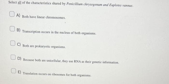 Select all of the characteristics shared by Penicillium chrysogenum and Euplotes vannus.
A) Both have linear chromosomes.
B) Transcription occurs in the nucleus of both organisms.
C) Both are prokaryotic organisms.
D) Because both are unicellular, they use RNA as their genetic information.
E) Translation occurs on ribosomes for both organisms.