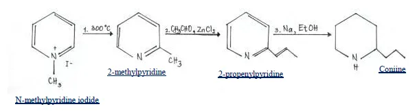 1. 300°C
1. CH CHO, ZnCl,
3. Na, EtOH
CH3
2-methylpyridine
Coniine
2-propenylpyridine
CH,
N-methylpvridine iodide
