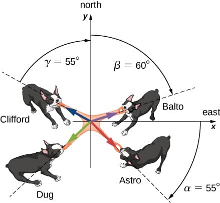 Clifford
y = 55°
Dug
north
YA
B = 60°
Astro
Balto
east
X
a = 55°