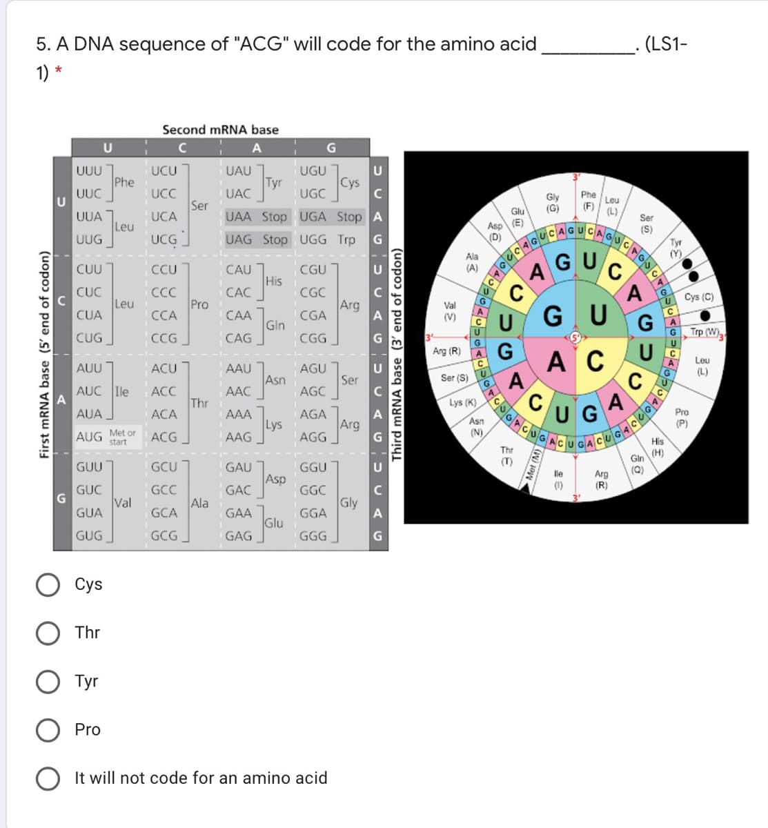 5. A DNA sequence of "ACG" will code for the amino acid
. (LS1-
1) *
Second mRNA base
U
UCU
UAU 1
U
UUU
Phe
UUC
U
UGU 1
Tyr
Cys
UCC
Ser
UCA
UAC
UGC
Phe
Gly
(G)
Leu
(F) (L)
Glu
UAA Stop UGA Stop A
UUA
Leu
UUG
Asp (E)
(D)
Ser
(S)
UCG
UAG Stop UGG Trp
Tyr
AGUC
Ala
(Y)
CAU 1
His
CAC
CUU
CCU
CGU
(A)
CGC
CC
Pro
ССА
CUC
Cys (C)
Leu
Arg
CGA
Val
(V)
G U
CUA
САА
Gln
U
Trp (W),
CUG
CCG
CAG
CGG
Arg (R)
G
AC
U
Leu
AUU
ACU
AAU
AGU
(L)
Asn
Ser (S)
A
C
Ser
AUC Ile
ACC
AAC
AGC
C/
A
Thr
Lys (K)
UG
AUA
ACA
Pro
AAA
Lys
AAG
AGA
Arg
AGG
Aşn
(N),
(P)
AUG Met or
start
ACG
His
Thr
(H)
(T)
Gln
GUU
GCU
GAU
GGU
(Q)
lle
Asp
Arg
(R)
(1)
GCC
Ala
GCA
GUC
GẠC
GGC
Val
GUA
Gly
GGA
GAA
Glu
GAG
GUG
GCG
GGG
Cys
Thr
Тyr
Pro
It will not code for an amino acid
First mRNA base (5' end of codon)
Third mRNA base (3' end of codon)
