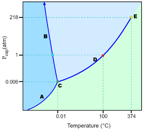 218-
E
B
0.006
A
0.01
100
374
Temperature (°C)
Pvap(atm)
