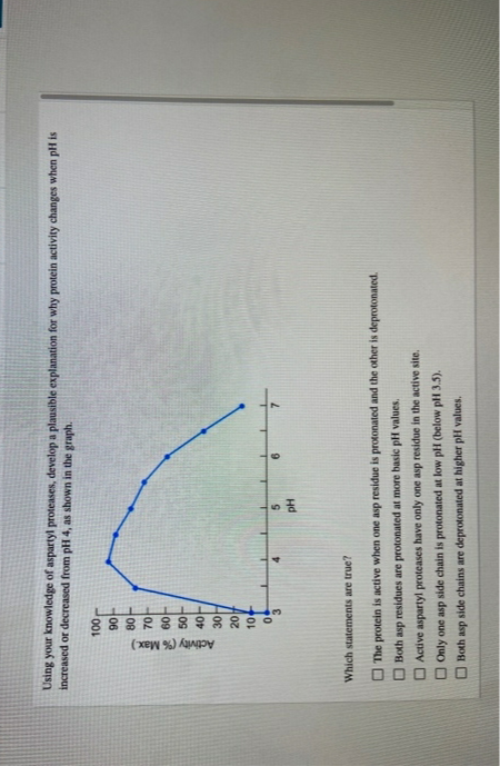 Activity (% Max.)
Using your knowledge of aspartyl proteases, develop a plausible explanation for why protein activity changes when pH is
increased or decreased from pH 4, as shown in the graph.
06
08
09
10+
4.
9.
Hd
Which statements are true?
The protein is active when one asp residue is protonated and the other is deprotonated.
O Both asp residues are protonated at more basic pH values.
O Active aspartyl proteases have only one asp residue in the active site.
Only one asp side chain is protonated at low pH (below pH 3.5).
Both asp side chains are deprotonated at higher pH values.
