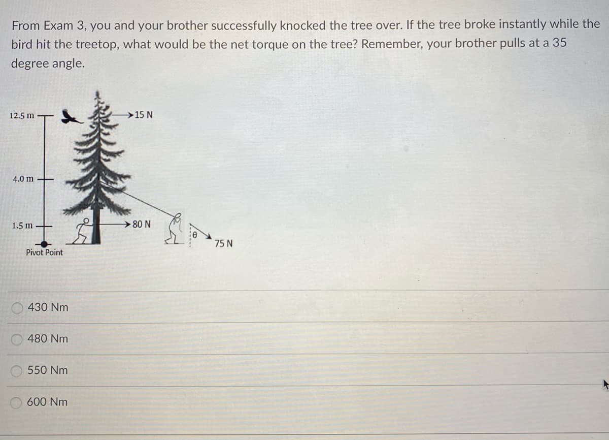 From Exam 3, you and your brother successfully knocked the tree over. If the tree broke instantly while the
bird hit the treetop, what would be the net torque on the tree? Remember, your brother pulls at a 35
degree angle.
12.5 m T
→15 N
4.0 m
1.5 m
→80 N
75 N
Pivot Point
430 Nm
480 Nm
550 Nm
600 Nm
