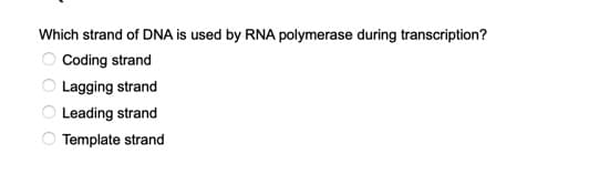 Which strand of DNA is used by RNA polymerase during transcription?
O Coding strand
OLagging strand
Leading strand
Template strand
O O O O
