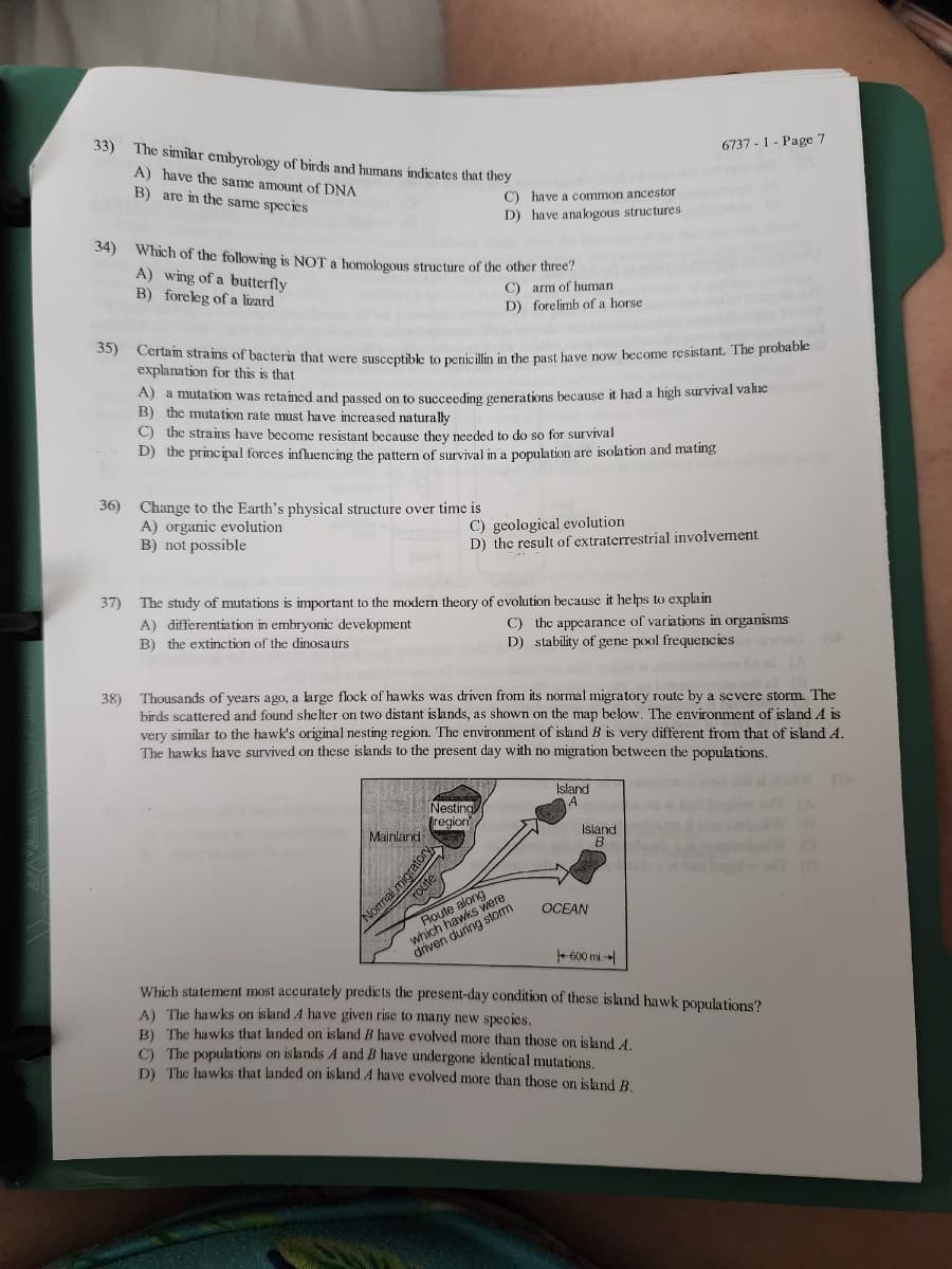 33)
The similar embyrology of birds and humans indicates that they
A) have the same amount of DNA
B) are in the same species
34) Which of the following is NOT a homologous structure of the other three?
C) arm of human
D) forelimb of a horse
37)
A) wing of a butterfly
B) foreleg of a lizard
38)
35) Certain strains of bacteria that were susceptible to penicillin in the past have now become resistant. The probable
explanation for this is that
36) Change to the Earth's physical structure over time is
A) a mutation was retained and passed on to succeeding generations because it had a high survival value
B) the mutation rate must have increased naturally
C) the strains have become resistant because they needed to do so for survival
D) the principal forces influencing the pattern of survival in a population are isolation and mating
A) organic evolution
B) not possible
C) have a common ancestors (A
D) have analogous structures o
The study of mutations is important to the modern theory of evolution because it helps to explain
A) differentiation in embryonic development
B) the extinction of the dinosaurs
Mainland
C) geological evolution
D) the result of extraterrestrial involvement
Nesting
region
Normal migratory
Thousands of years ago, a large flock of hawks was driven from its normal migratory route by a severe storm. The
birds scattered and found shelter on two distant islands, as shown on the map below. The environment of island 4 is
very similar to the hawk's original nesting region. The environment of island B is very different from that of island A.
The hawks have survived on these islands to the present day with no migration between the populations.
Route along
which hawks w
driven
during s
6737-1- Page 7
C) the appearance of variations in organisms
D) stability of gene pool frequencies we (Ok
Island
A
Island
B
OCEAN
600 mi-
Which statement most accurately predicts the present-day condition of these island hawk populations?
A) The hawks on island A have given rise to many new species.
B) The hawks that landed on island B have evolved more than those on island A.
C) The populations on islands A and B have undergone identical mutations.
D) The hawks that landed on island A have evolved more than those on island B.
0